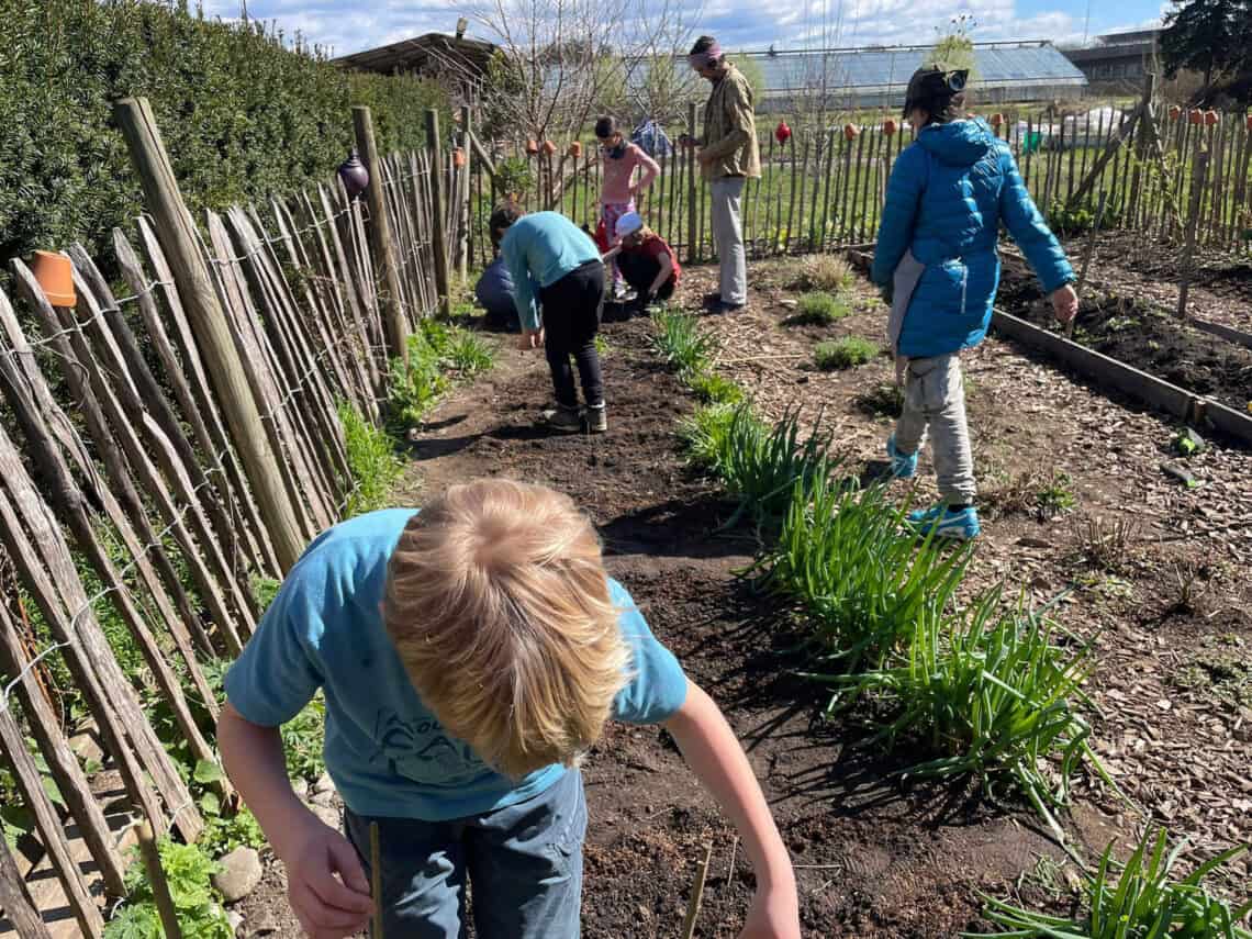 Kinder, die im Sonnenschein im Garten buddeln.